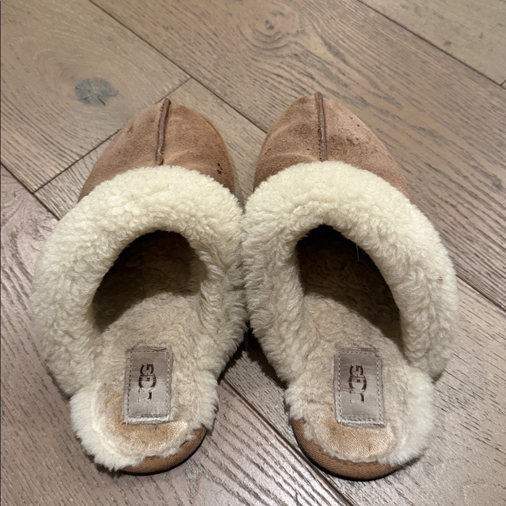UGG Slippers - Picture 3 of 4